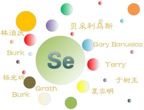 硒對皮膚的作用