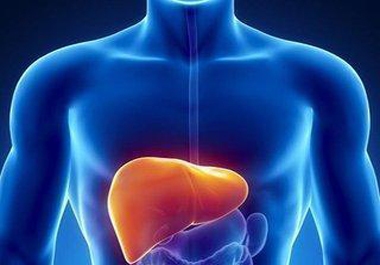 肝臟不好每天堅(jiān)持吃點(diǎn)它讓你更健康