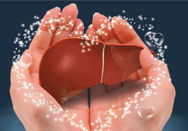 注意了，這種保健食品將修復(fù)保護(hù)肝細(xì)胞