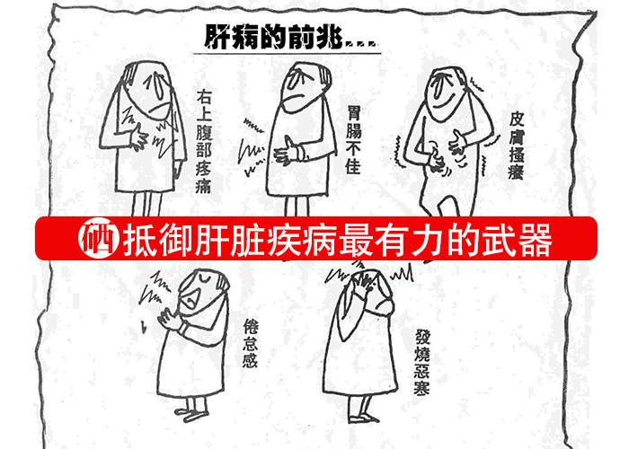 硒，抵御肝臟疾病最有力的武器