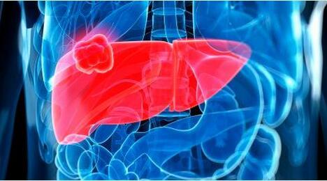 為什么養(yǎng)肝需要補硒？生活中如何保肝護肝？