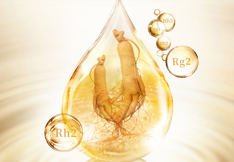 人參總皂苷和人參皂苷Rh2、Rg3是一樣的嗎?很多人都錯(cuò)了