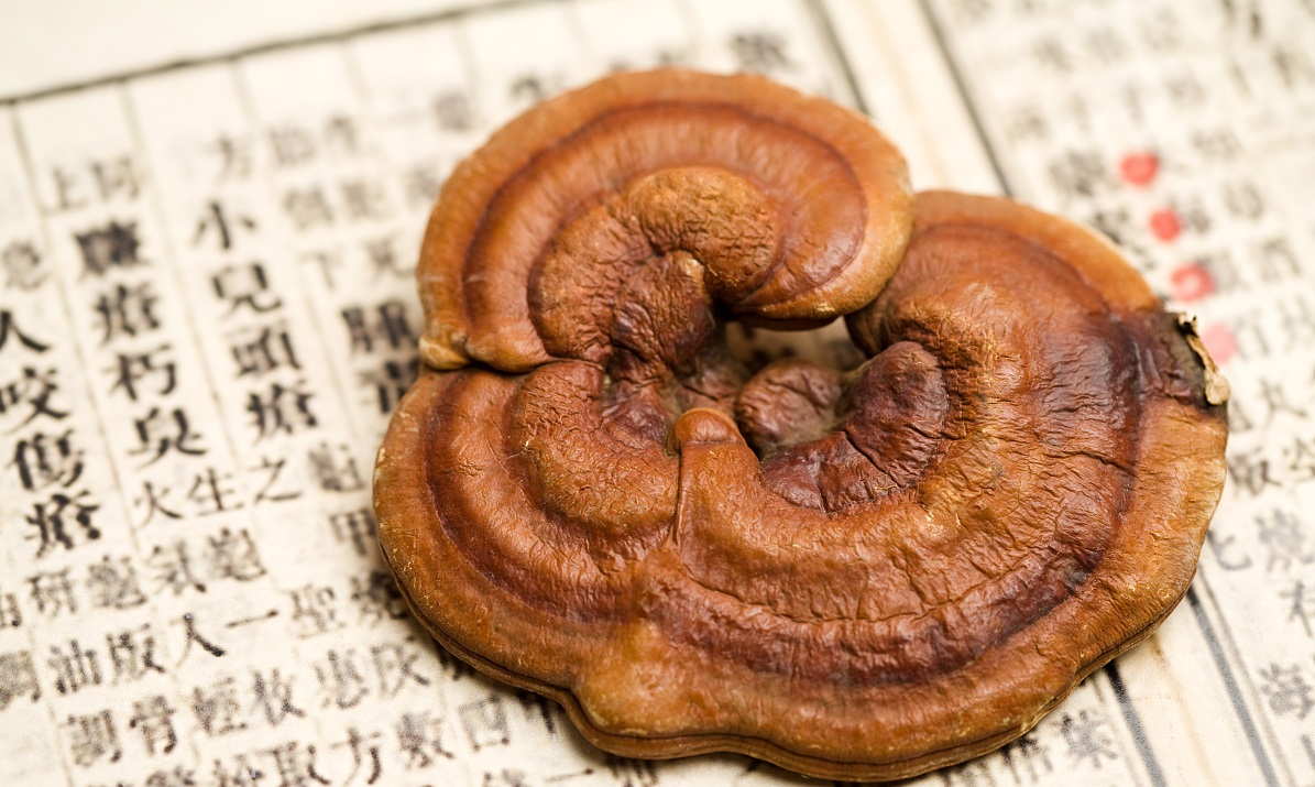 這幾種人服用靈芝，效果是這樣的