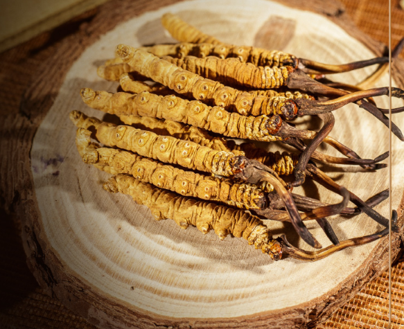 冬蟲夏草，給身上來個大掃除