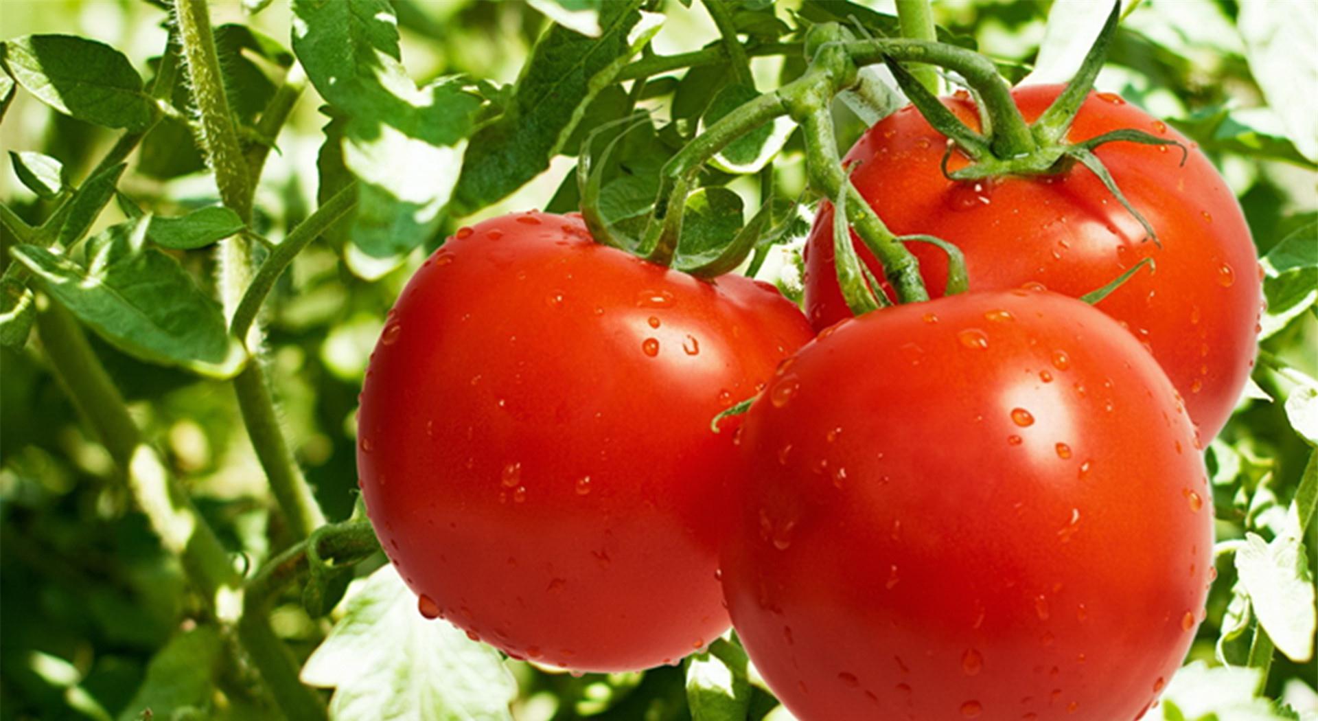 含有豐富的維生素和膳食纖維，但是這3類人一定要謹(jǐn)記少食