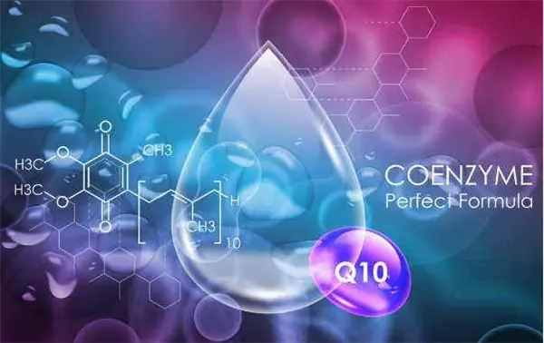 哪些食物富含輔酶Q10？