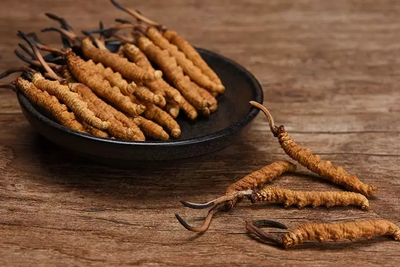 吃冬蟲夏草后，睡眠會得到一定的改善