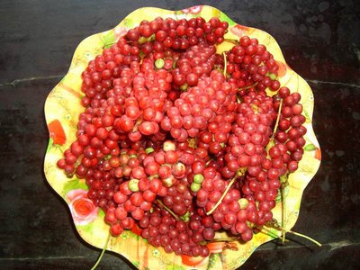 五味子對(duì)肝有一定的作用