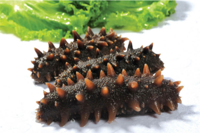 海參滋補(bǔ)，都有哪些對(duì)海參是禁忌？