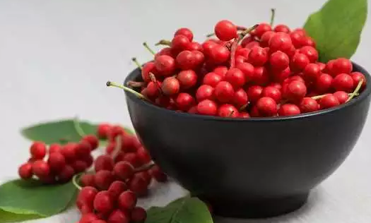 “山間野葡萄”五味子都有什么簡單的作用？