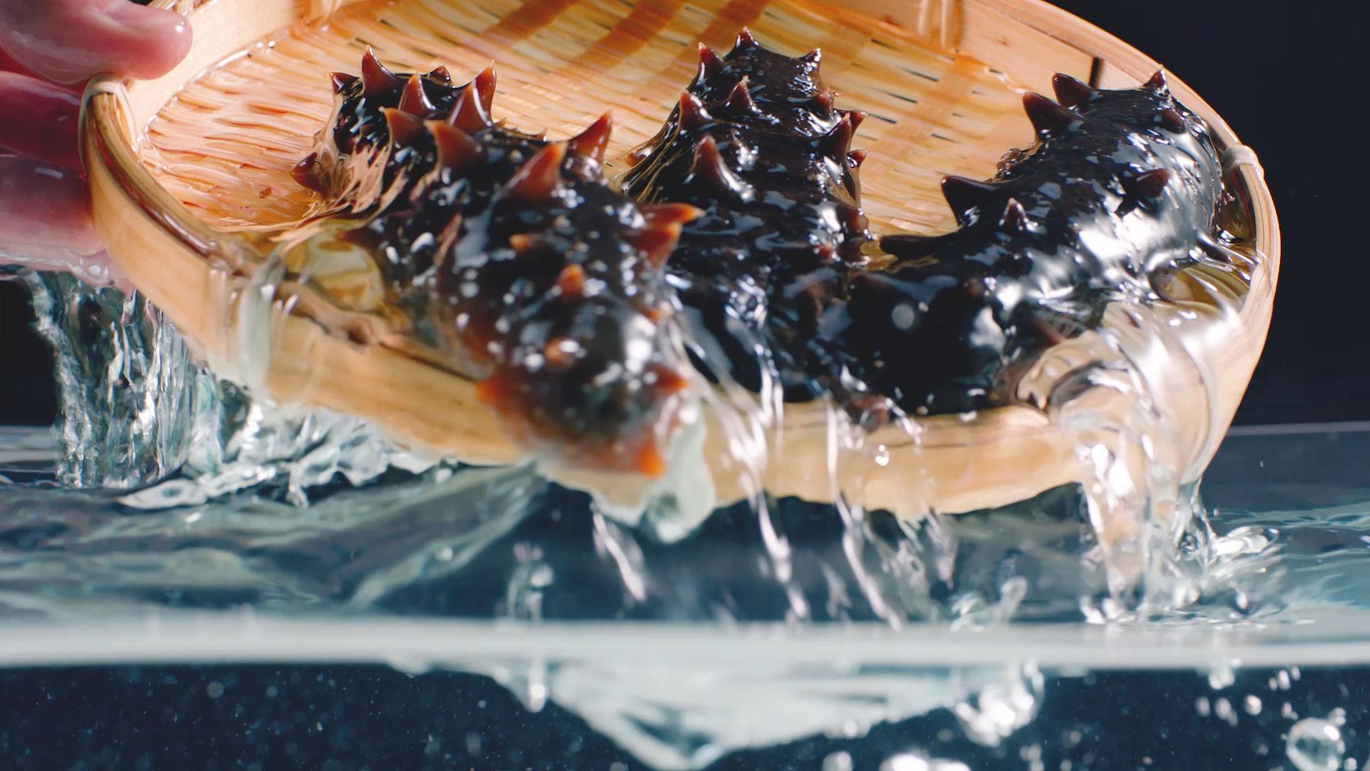 春天為什么要吃海參？