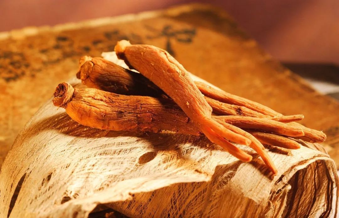 西洋參有什么價(jià)值？中醫(yī)告訴你