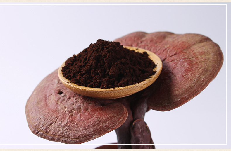 夏季吃靈芝孢子粉，需要注意什么？